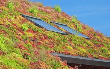 Hazelbeach living roof systems
