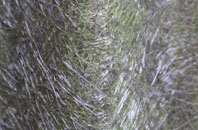 Hazelbeach fibreglass roof work